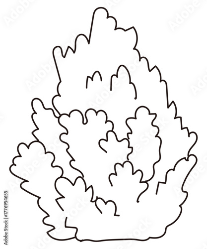 外構・庭植栽のイラスト