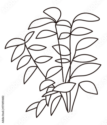 外構・庭植栽のイラスト