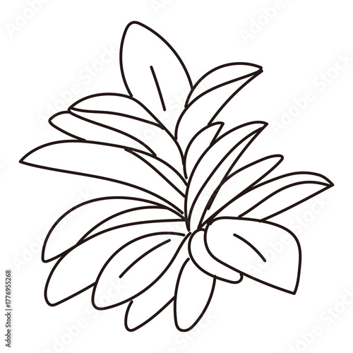 外構・庭植栽のイラスト