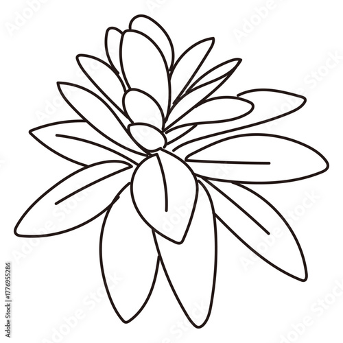 外構・庭植栽のイラスト