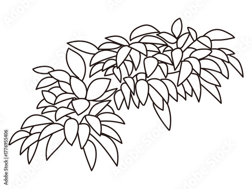 外構・庭植栽のイラスト