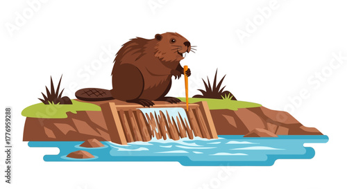 Beaver sitting on a dam with water flowing through it