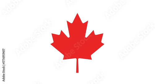 Red maple leaf isolated on a white background
