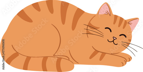 Cute Orange Tabby Cat Sleeping Vector Flat Design Isolated Object