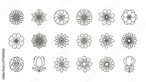 Floral Illustration Set Collection of Simple and Elegant Black Line Art Flower Icons for Design