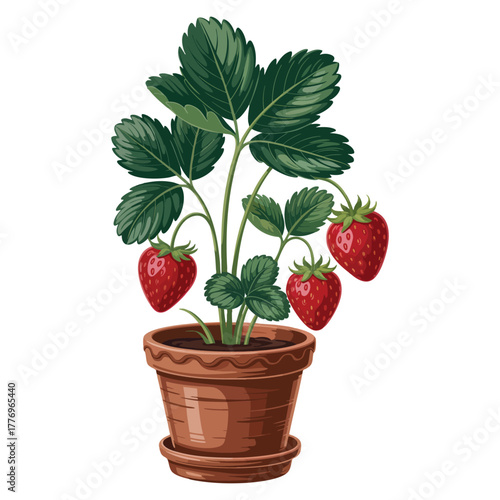 Strawberry plant in clay pot illustration vector artwork isolated design perfect for gardening, plant decoration, agriculture, or home plant themed projects