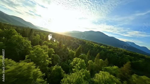 Forest Canopy and Mountain Range at Dawn