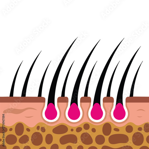 Vector illustration of hair and scalp close up ideal for hair treatment maintenance beauty care salon and personal grooming themed creative artwork