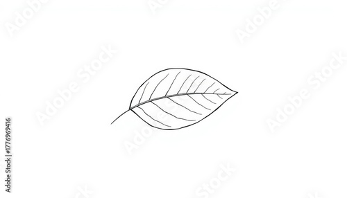 Simple, minimalist line drawing of a single leaf, eco icon, leaf line art