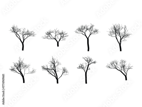 Silhouette Tree Collection in Black and White Graphic Elements Vector Illustration for Design Projects and Creative Assets
