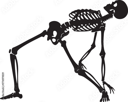 Black silhouette of a human skeleton performing a yoga or pilates pose, showcasing anatomy, flexibility, and physical movement on a white background.