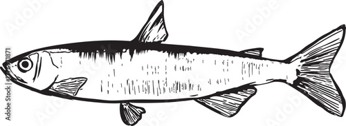 目刺しの墨絵イラスト挿絵