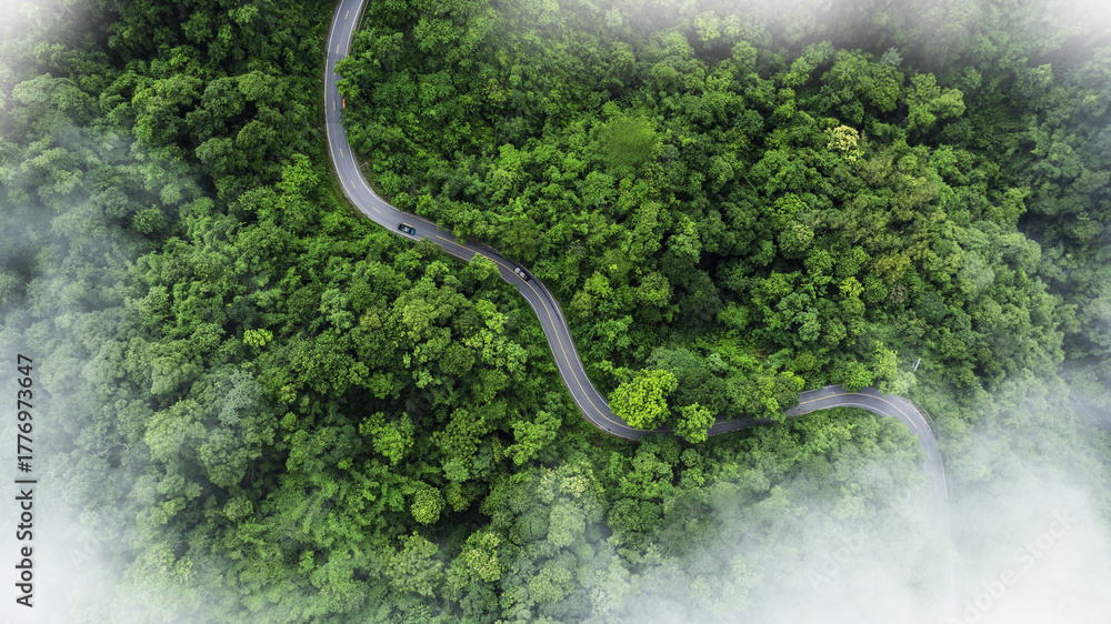 Naklejka premium Aerial view of a winding road curving through lush green tropical forest with misty atmosphere. Scenic mountain highway surrounded by dense jungle and natural landscape.