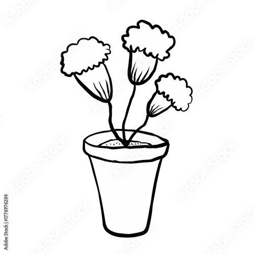 Line art flowers in a pot