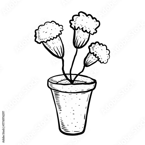 Sketch flowers in a pot