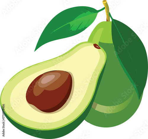 Illustration of a whole avocado and a halved one with a brown seed and green flesh. Two green leaves are attached, set against a white background.