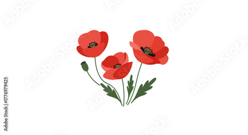 Three vibrant red poppies blooming against a clean white background, beautiful floral arrangement.