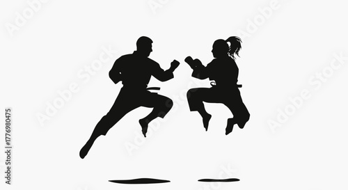 Dynamic Martial Arts Duo in Jumping Silhouette Action