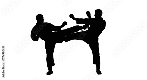 Dynamic martial arts kick silhouette action sport fitness training