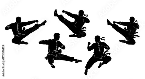 Dynamic Kung Fu Martial Artist Silhouette Group Poses on White