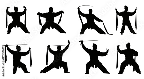 Silhouette Martial Arts Taijiquan Practice Routine Isolated