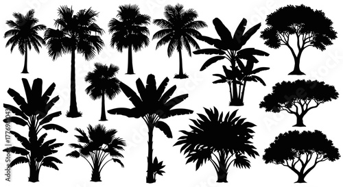 Exotic Plant Silhouettes Palm Banana Tree Collection Vector Design