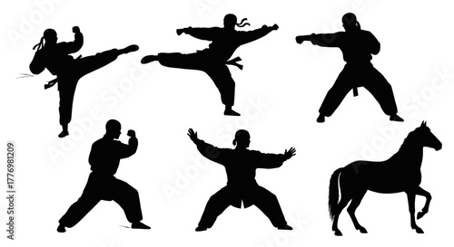 Dynamic martial arts fighter silhouettes in action poses with horse design