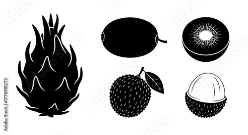 Tropical fruit collection silhouettes dragon fruit kiwi lychee guava rambutan
