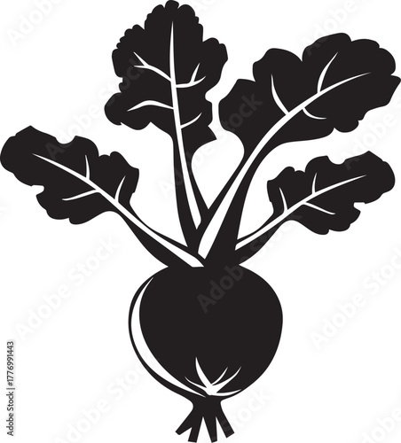 Kohlrabi icon clean simple