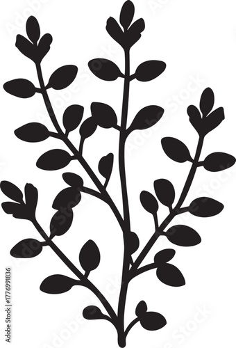 Thyme, food icon clean simple