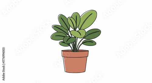 plant in a pot