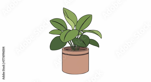 plant in a pot