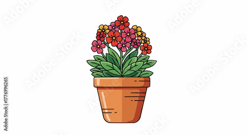 plant in a pot