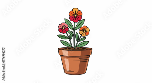 plant in a pot