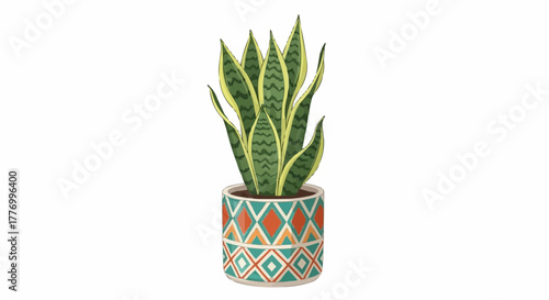 plant in a pot