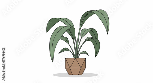 plant in a pot