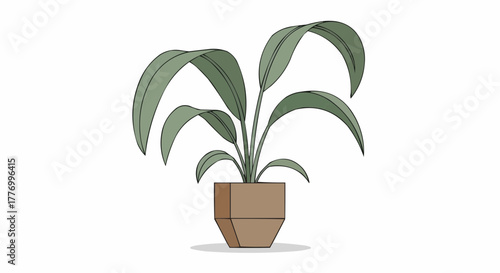 plant in a pot
