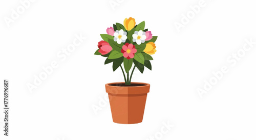 flower in a pot