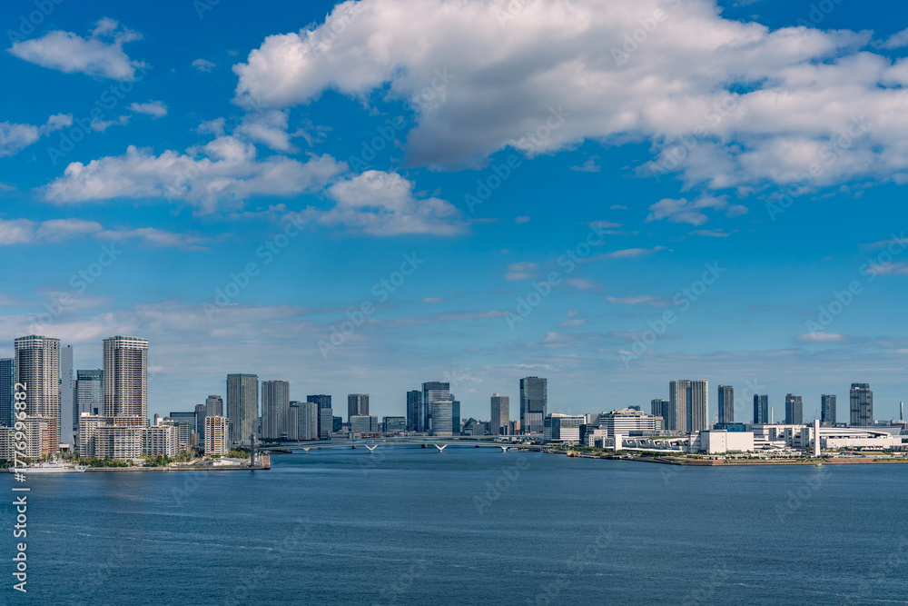Fototapeta premium 東京レインボーブリッジからの景観