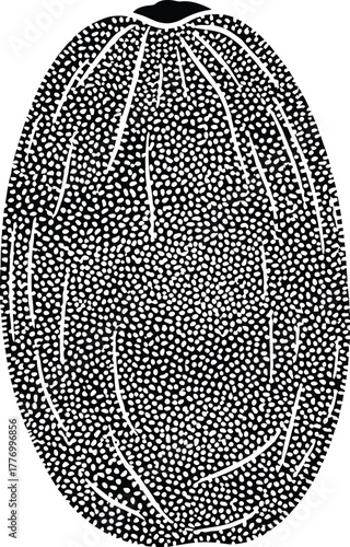 Abstract illustration of a stylized seed or pod with white dots and lines in black and white
