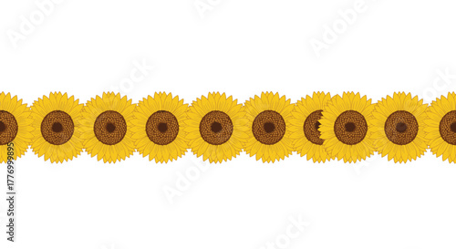 Seamless border of bright yellow sunflowers with brown centers on a white background.