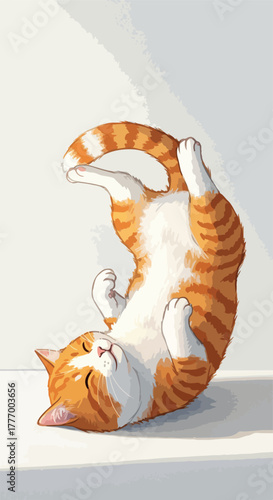 Orange Tabby Cat Rolls Playfully White Background Bright Studio Lighting