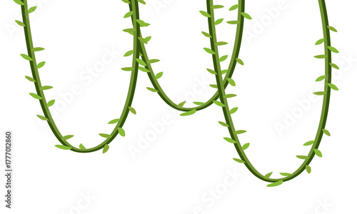 Hanging jungle vines illustration on black background
