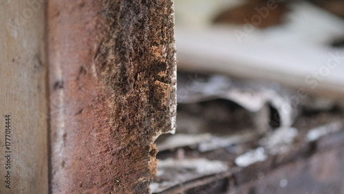Foto Wood that have been damaged due to prolonge water seepage.