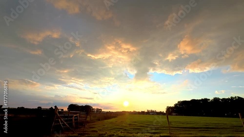 Lone tree during twilight, Calm rural setting showcasing single tree cast in warm sunset glow amid expansive fields