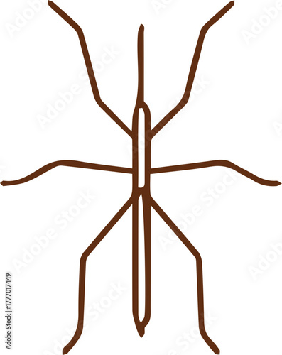 Minimalist line art brown stick insect on white for nature and entomology designs