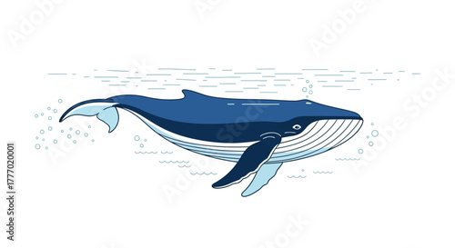 Blue whale swims bubbles rise