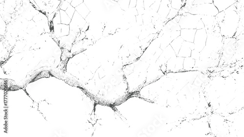 Black and white cracked texture resembling tree branches and dry earth ground