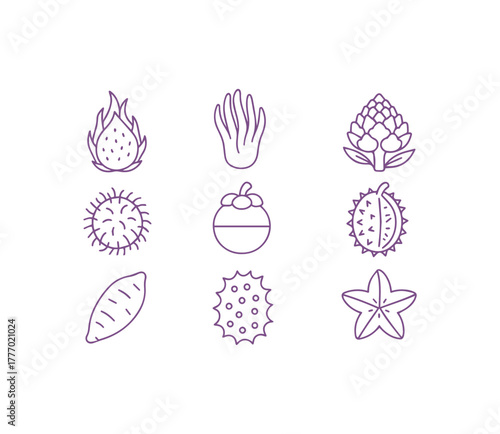 Exotic Fruit and Vegetable Icons Tropical Produce Line Art Collection