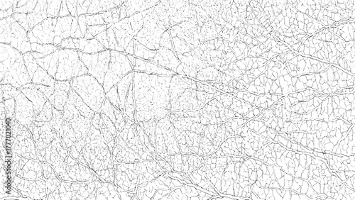 White cracked surface with dark grey irregular lines and polygons texture background